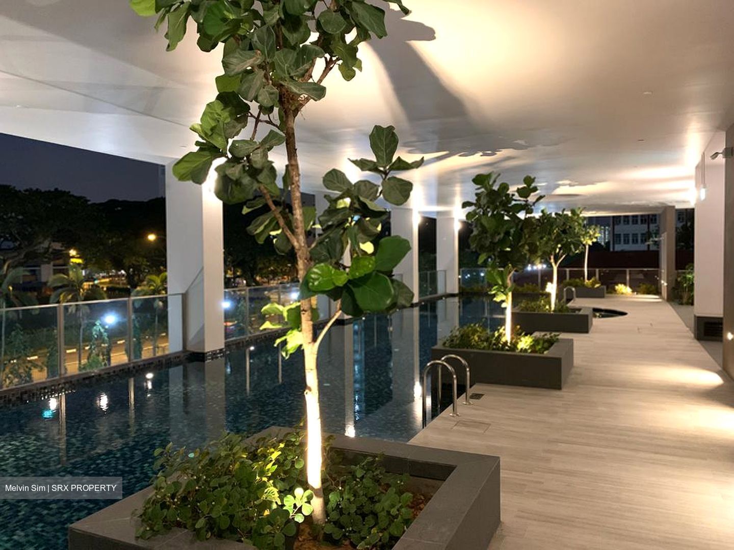 Neem Tree (D12), Apartment #587712311